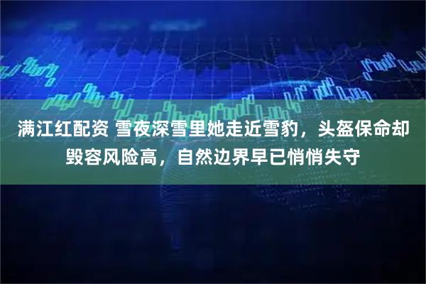 满江红配资 雪夜深雪里她走近雪豹，头盔保命却毁容风险高，自然边界早已悄悄失守