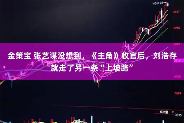 金策宝 张艺谋没想到，《主角》收官后，刘浩存就走了另一条“上坡路”